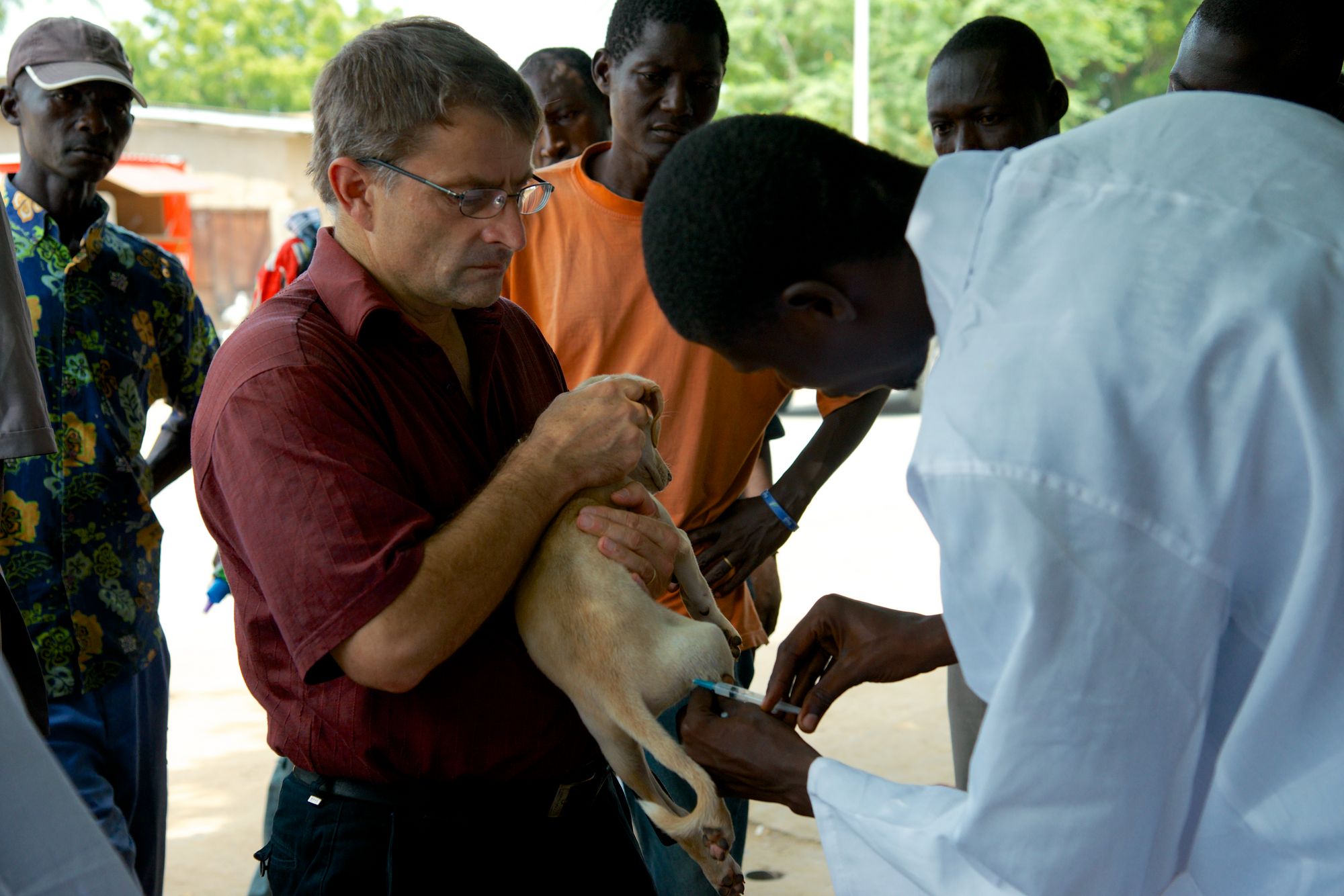 Rabies vaccination of a dog in Chad (Photo: Swiss TPH)