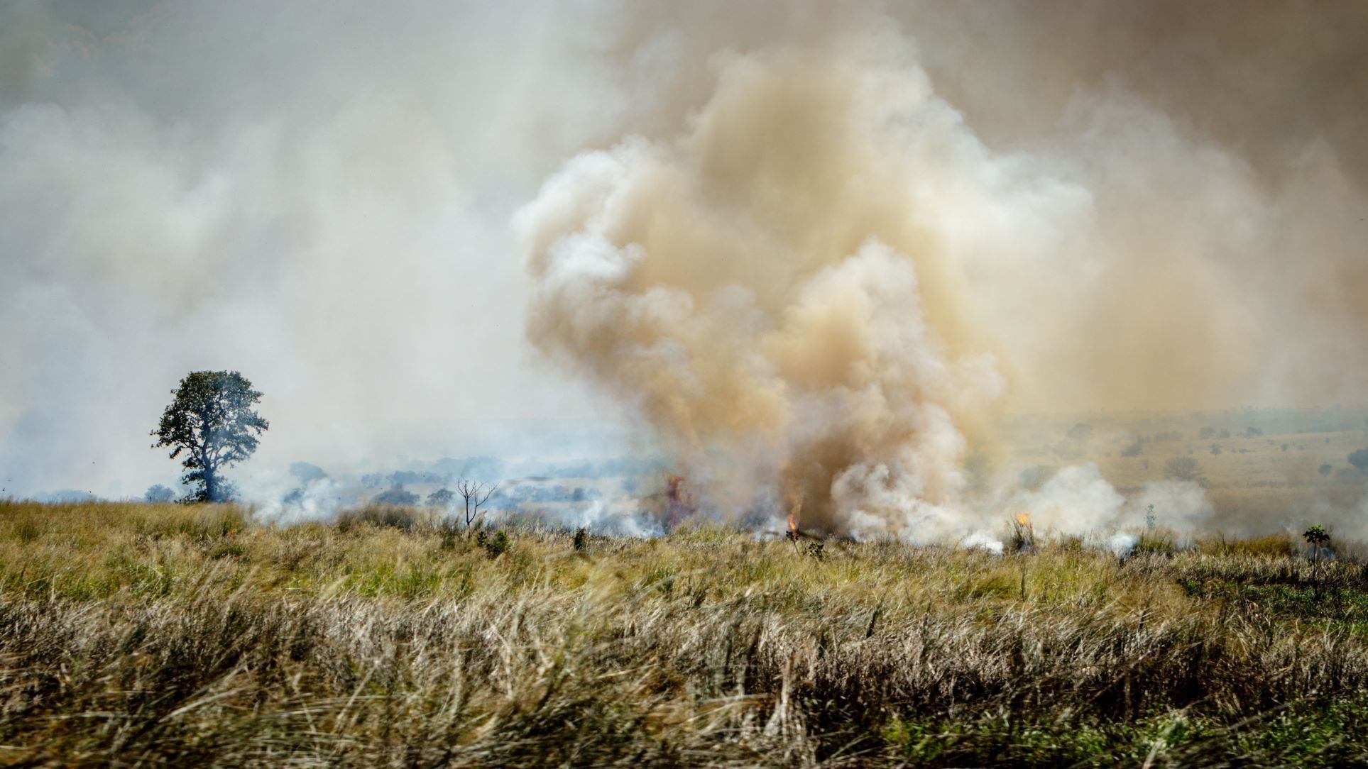 Effects of Climate Change on Health