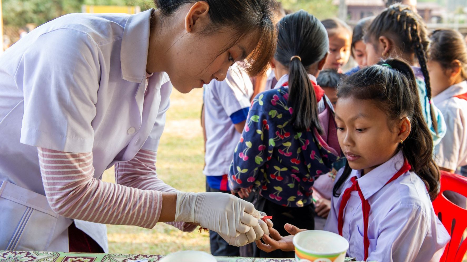 Development of New Drugs against Parasitic Worm Diseases