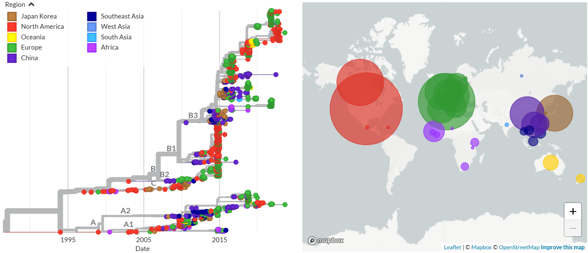 Phylogeny of Enterovirus D68 created using Nextstrain, showing how the virus has evolved and moved geographically (E. Hodcroft)