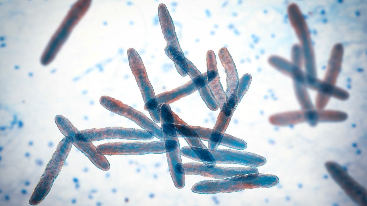 Mycobacterium ulcerans (Photo: AdobeStock/Swiss TPH)