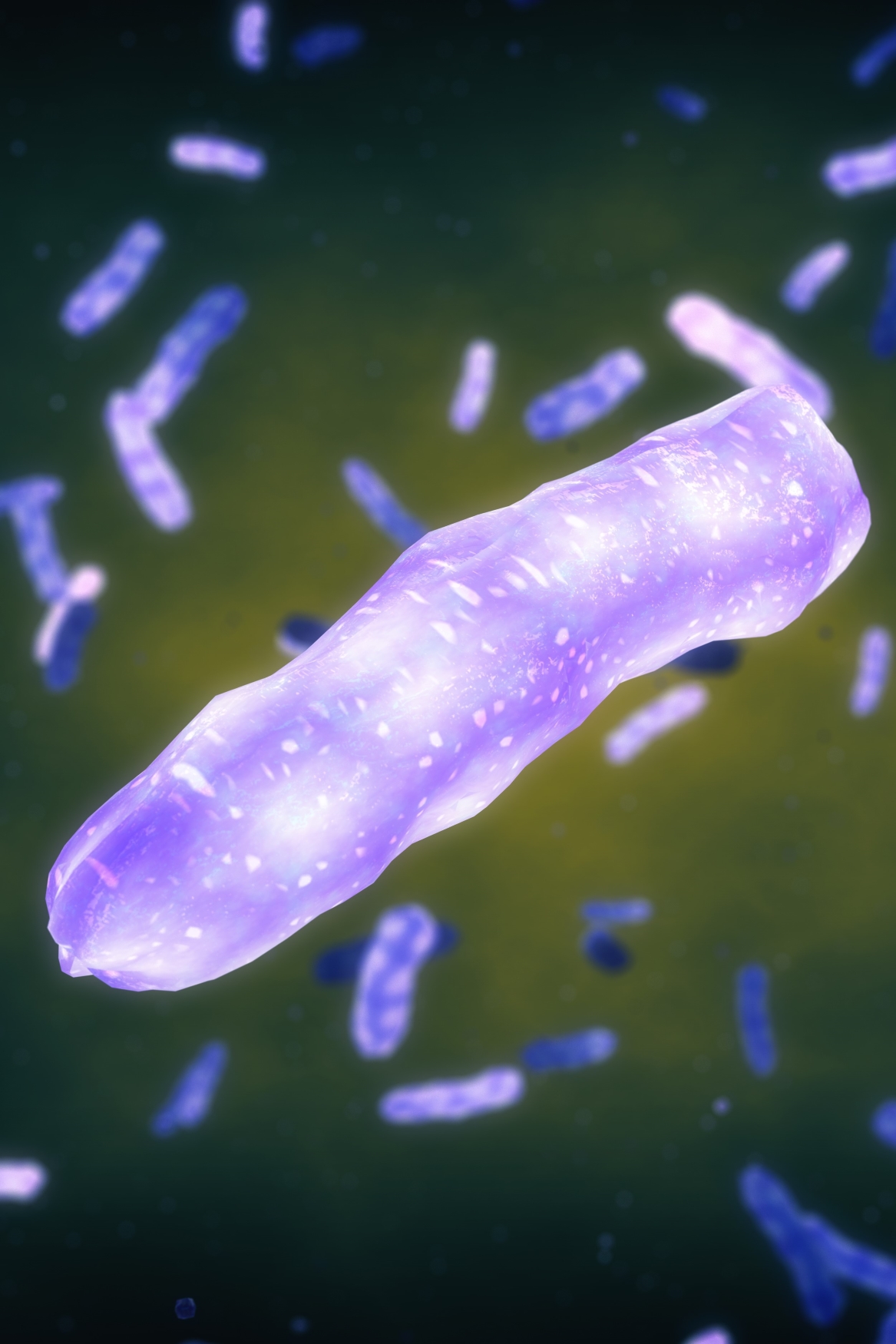 Mycobacterium leprae under the microscope (Photo: AdobeStock/Swiss TPH)