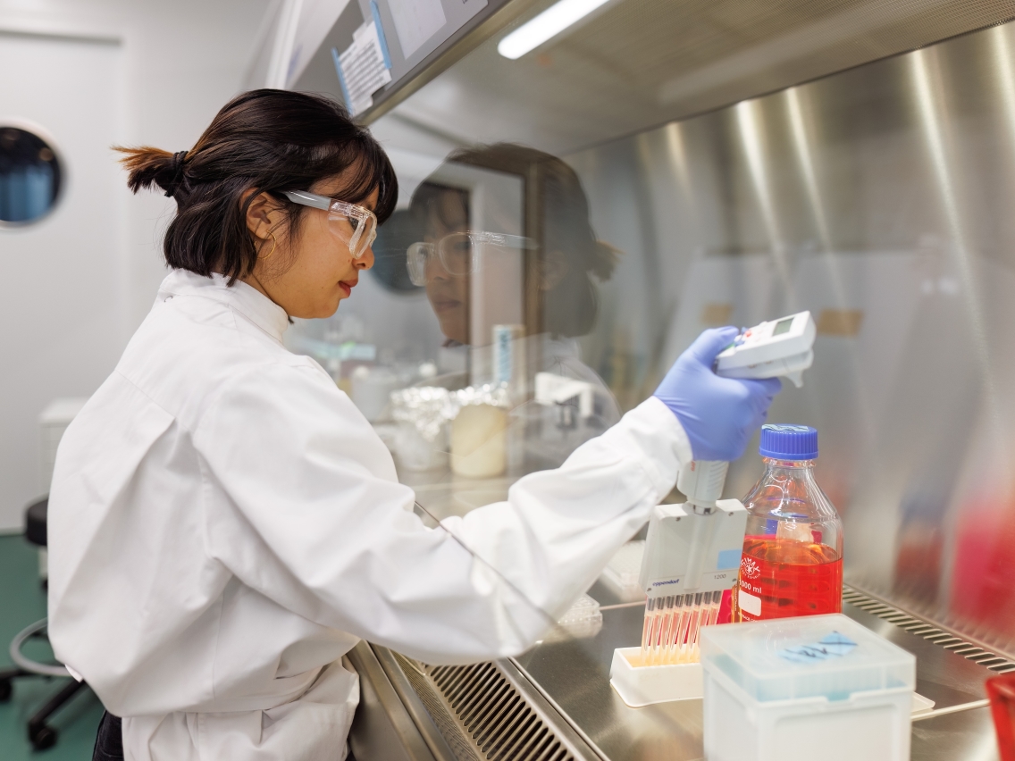 Researcher working in a BSL-2 lab (Photo: J. Pelikan/Swiss TPH)