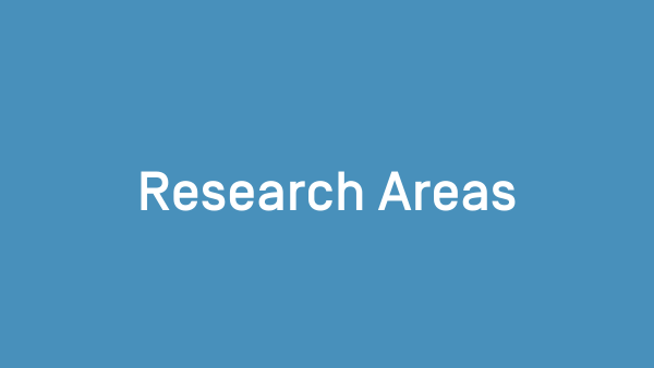 Research Areas