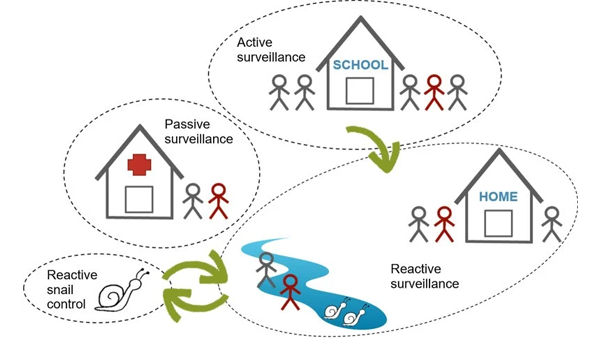 Surveillance-response activities 